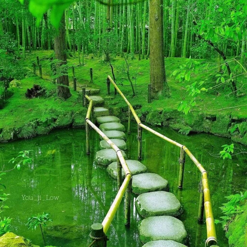 Nestled in the lush greenery, Otagi Nenbutsu-ji isn't your ordinary temple—it's an immersive experience. Picture this: a serene escape from the bustling city, where history whispers through the leaves, and spirituality lingers in the air